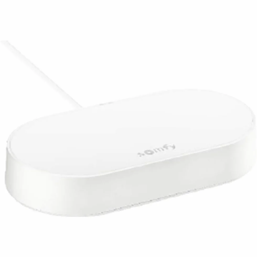 Somfy 1870755 - Connectivity Kit, Per controllare le luci e i motori Somfy dallo smartphone, Compatibile con i motori io e RTS, Controllo vocale tramite Google Assistant, Amazon Alexa, HomeKit