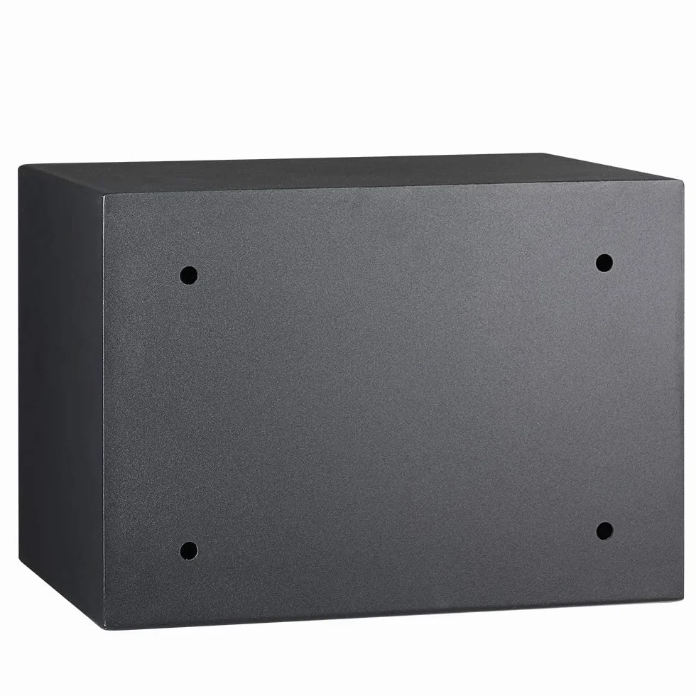 Amazon Basics Cassaforte di sicurezza domestica in acciaio con blocco biometrica per impronte digitali, per proteggere contanti, gioielli, documenti, 14 L, nero, 35 x 24,9 x 24,9 cm (LxPxA)