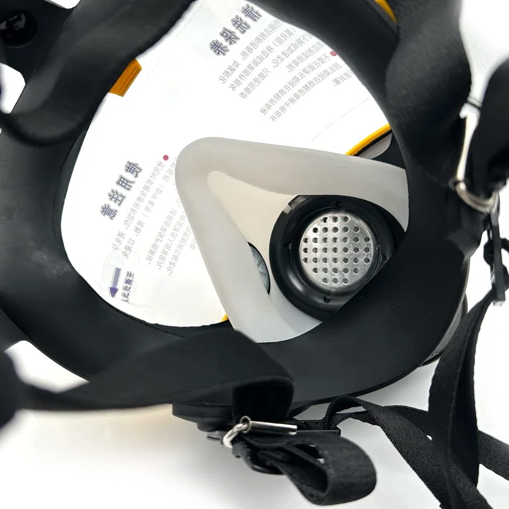 Maschera Antigas con Filtro di Alimentazione Dell'aria Elettrica per Respiratore ad Aria a Tubo Lungo Autoadescante(A)